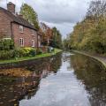 Picture of trees along the canal