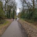 Rail Trail