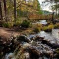 Bridge by Loch an Eilein