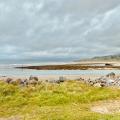 Shell Island