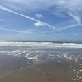 Shell Island