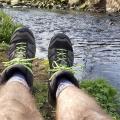 Feet, Spofforth