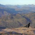 Ben Ledi summit on a fine winter morning