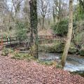 Giant's Castle bridge, Styal Woods