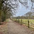 Giant's Castle bridge, Styal Woods
