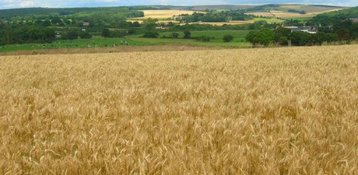 View North from Highdown Hill