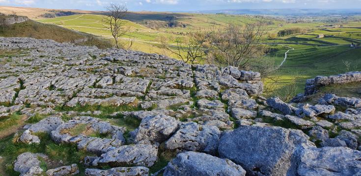 Limestone pavement view