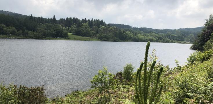 view of the lake