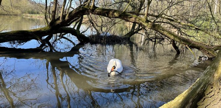 Possible morning break on Thorner walk
