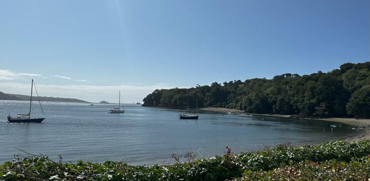A beach near Plymouth
