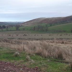 Looking across valley to hills